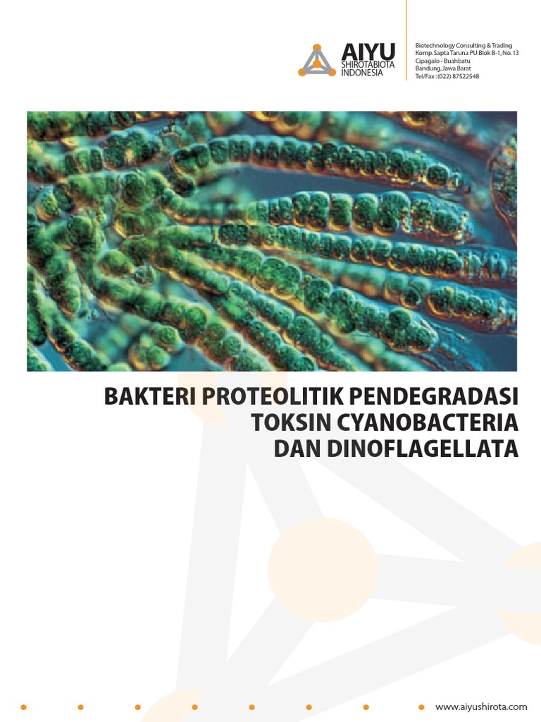 Bakteri Proteolitik Pendegradasi Toksin | PDF