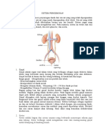 AnatomiSistemPerkemihan (Sy - Maya Etika Sari1B Kebidanan)