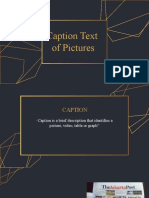 Caption Text of Pictures