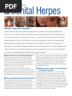 Herpes Fact Sheet Lowres 2010