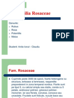 Familia Rosaceae