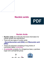 13 - Nucleic Acids BICH 200