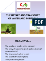 The Uptake and Transport of Water and Minerals