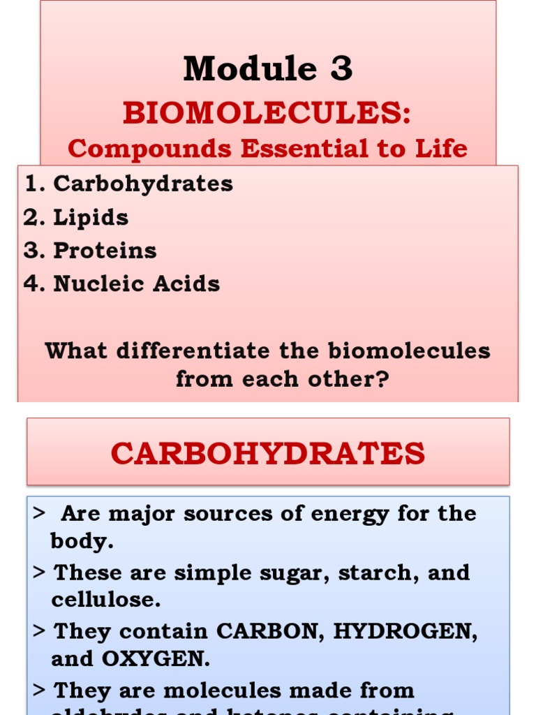 Module 3 Biomolecules PDF Carbohydrates Glucose