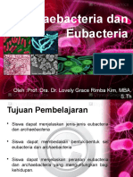 Archaebacteria Dan Eubacteria New2