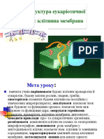 Заняття 7 Будова Клітини .Клітинні Мембрани