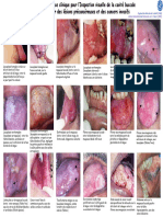 Tableau de Référence Clinique Pour L'inspection Visuelle de La Cavité Buccale Afin de Dépister Des Lésions Précancéreuses Et Des Cancers Invasifs