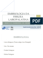 Embriologia das fissuras labiopalatinas