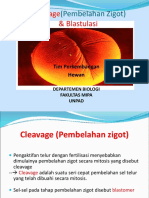 0. Cleavage, Blastulasi Edit 2021-Merged