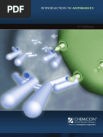 Download INTRODUCTION TO ANTIBODIES -Chemicon  by EMQueen SN59227209 doc pdf