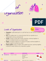 Bio Levels of Organization