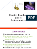 Hidratos de Carbono, Lipidos, ADN YARN.