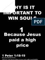 Why Is It Important To Win Souls