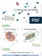 Microbiologia - Morfologia Bacteriana 2 Semestre