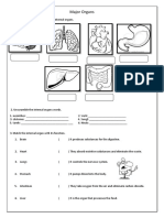 Major Organs Worksheet