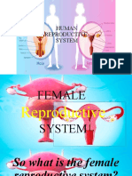 Female Reproductive Organ