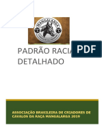 DT04 Padrão Racial Detalhado 2019