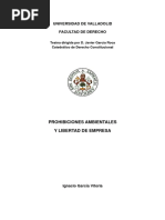 000 - Capitulo Indice Total | PDF | Separación de poderes ...