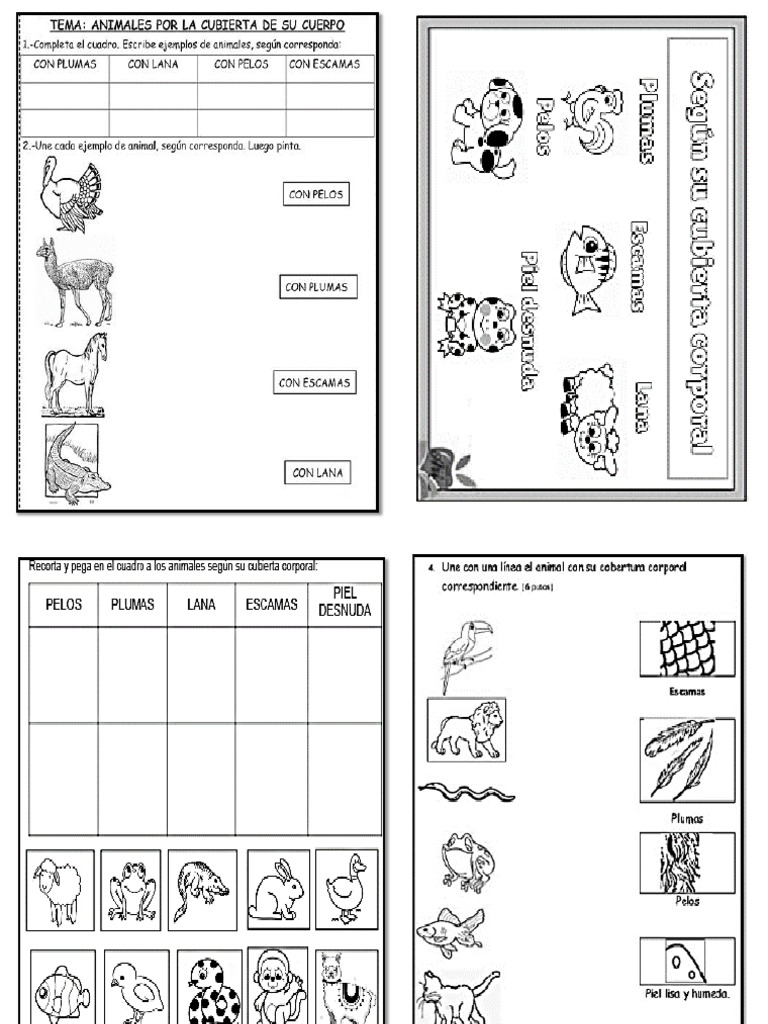 Animales Por Su Desplazamiento | PDF