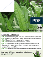 CB6d Transpiration and Translocation