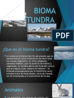 Bioma Tundra Exposicion