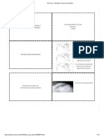 Fichas - Extremidades Superiores y Inferiores