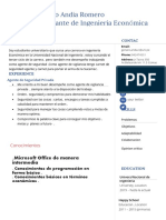 Curriculum Vitae Genaro