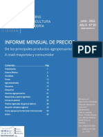 Informe Mensual JUNIO 2022