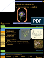 Biosystematic Revision of The Spergularia Echinosperma Complex