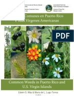 Common Weeds PR-USVI Guide