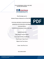 Plan Estrategico Para La Industria Pesquera en El Perú