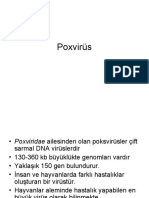 Poxvirüs