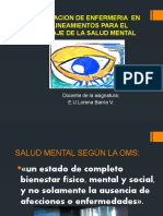 Participacion de Enfermeria en Salud Mental