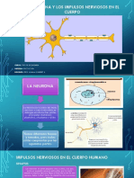 1er Tema PSICO - 1RO SEC. (2do Trimestre)