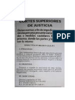 Directiva de Duplicidad de Expedientes