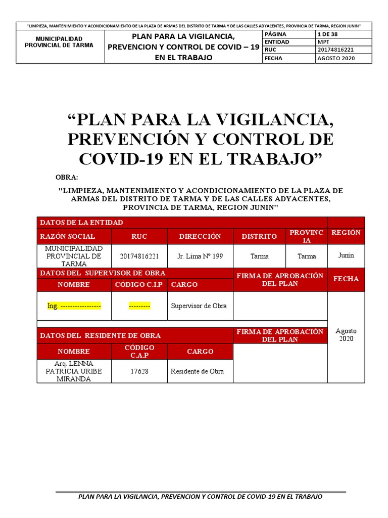 Plan Covid - 19 Tarma | PDF | Cuidado de la salud | Causas de la muerte