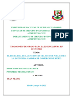 Universidad Nacional de Guinea Ecuatorial TFG