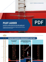 Infographic Pilot Ladder New