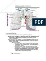 Drenaje Linfatico