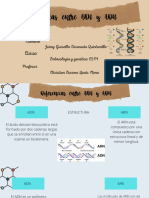 Diferencias ARN-ADN