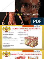 Histologia Humanas