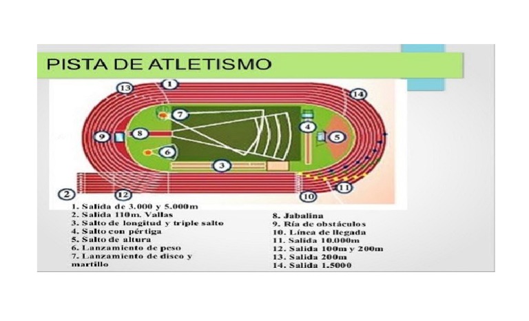 PISTA DE ATLETISMO 1o. BASICO | PDF