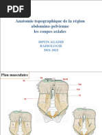 Schémas des reins et projections anatomiques | PDF