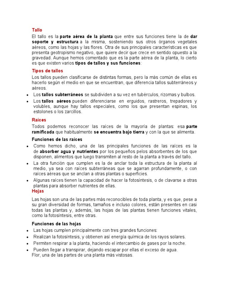 Partes de Las Plantas | PDF | Raíz | Tallo de la planta