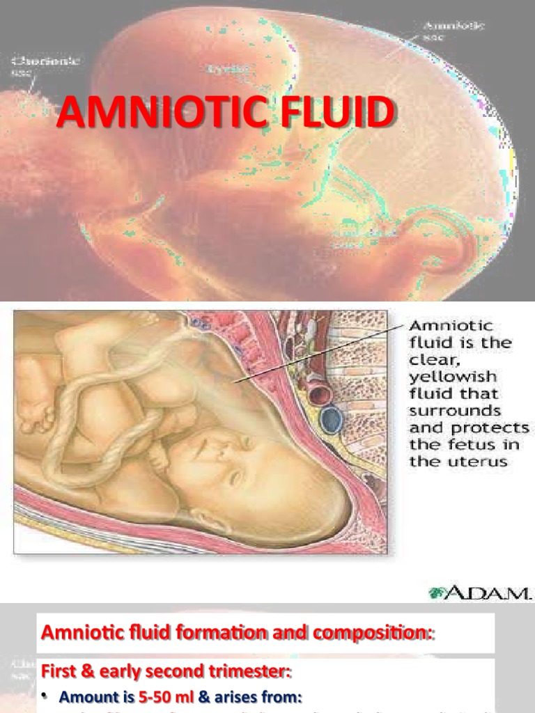 Amniotic Fluid | Download Free PDF | Fetus | Childbirth