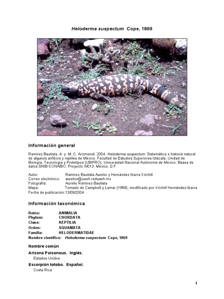 Ficha Tencica de Heloderma | PDF | Sonora | Desierto