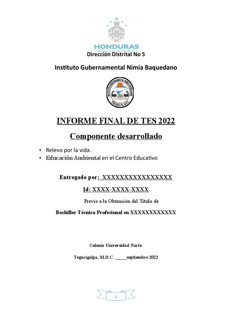 Informe Final TES 2022 Nimia Baquedano | PDF | Arte