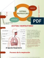 Sistema Respiratorio-2022