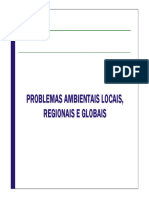 12. Texto de Apoio 5 - Problemas Ambientais Locais Regionais e Globais (1)