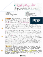 514 - Saldivar Maldonado Santiago - Sistema Circulatorio (Resumen)